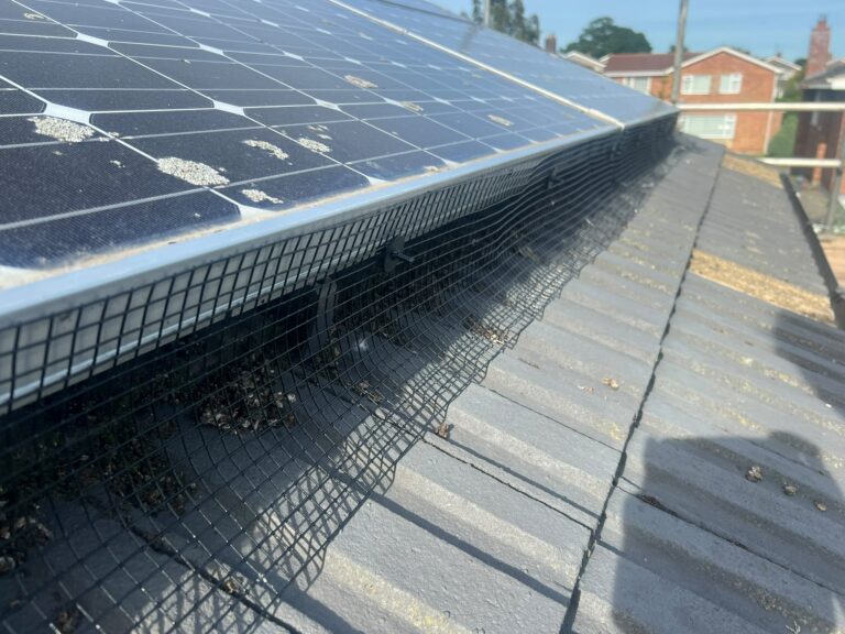 Solar Panel Bird Proofing Norwich — Yare Electrical
