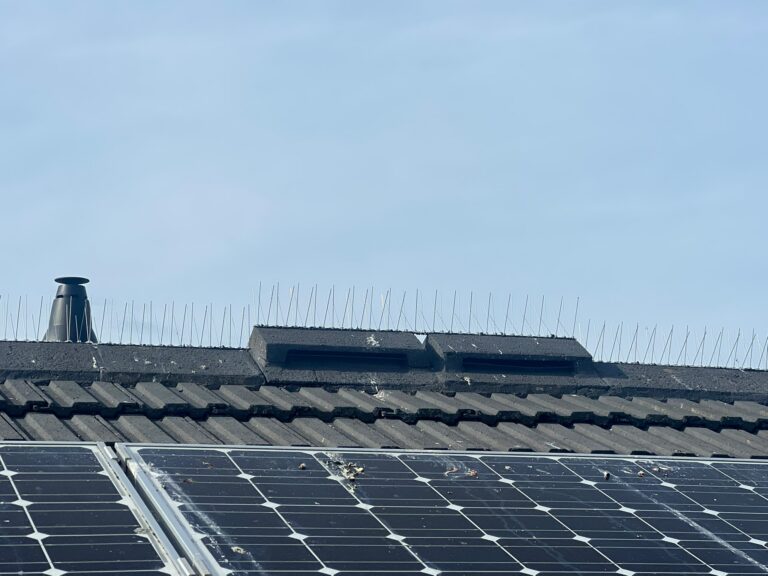 Solar Panel Bird Proofing Norwich — Yare Electrical