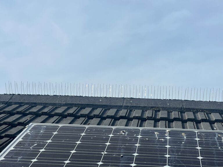 Solar Panel Bird Proofing Norwich — Yare Electrical