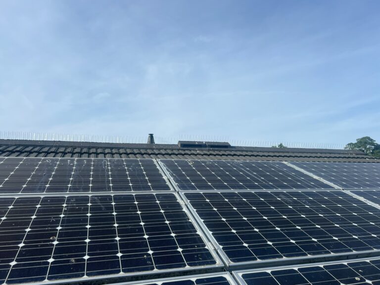 Solar Panel Bird Proofing Norwich — Yare Electrical