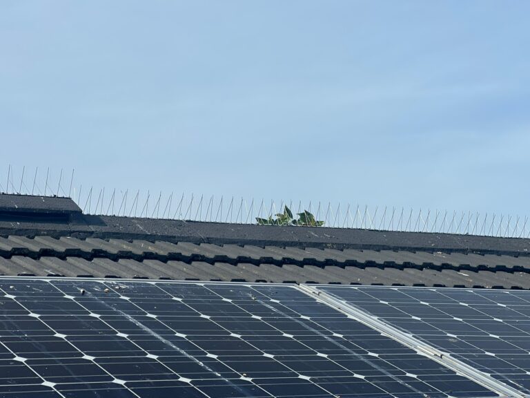 Solar Panel Bird Proofing Norwich — Yare Electrical